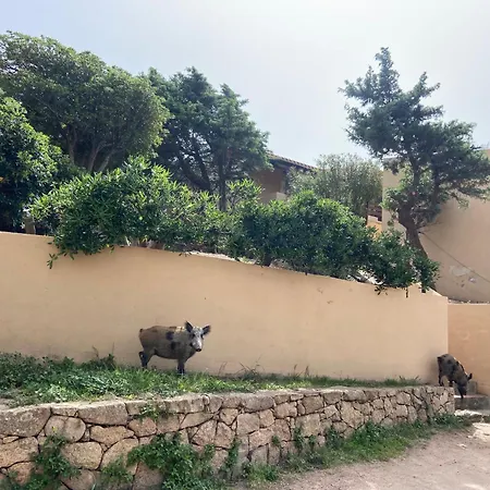 Дом отдыха Casa Da Iulia Usselmann Коста-Парадисо
